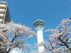 桜咲く函館二泊三日旅その3