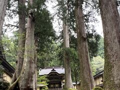 湧水と＊花桃＊の隠れ里へ♪　前編＜永平寺・＊花桃幸小道＊＞