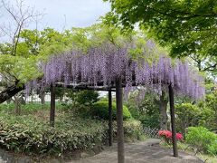 横浜市鶴見区の公園緑地「馬場花木園」に行ってみました。