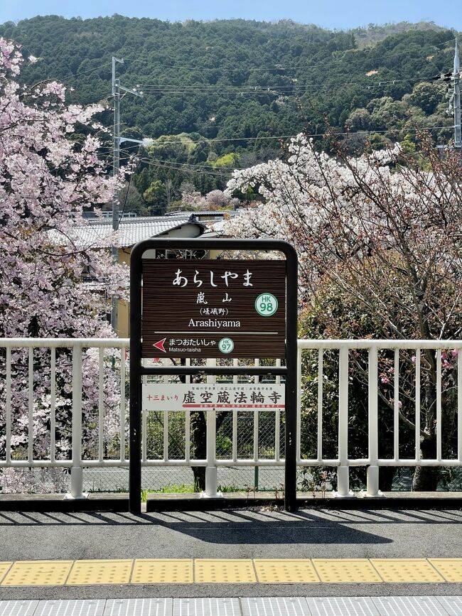 2022年4月下旬、北海道にもやっと桜前線が到着しましたが、一足先に京都に桜を見に出かけました。マンボウも解除になったしね＾＾<br />実は、昨年コロナの波を除けながら、2回京都に出かけています（旅行記書いていなーい）修学旅行ぶりの京都がとても良く、次は桜の時期に行きたいと夫のリクエストがあり旅行を計画。<br />お互いの都合やチケットの値段などから、4月2週目にしましたが、京都では、3月下旬から桜が咲き始めている情報がちらほら・・・<br />桜の京都は微妙だね・・・と思って出かけましたが、間に合いました～♪<br />美しい古都の街並みと桜。<br />日々の忙しさを一瞬忘れ、癒されまくってきました。<br /><br /><br /><br /><br />