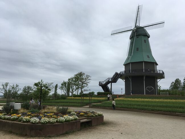 『つくば霞ヶ浦りんりんロード(霞ヶ浦コース)』サイクリングツアー＋霞ヶ浦総合公園、予科練平和記念館