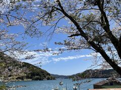 紀伊半島・桜と旅する三日間