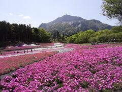 秩父「羊山公園」の芝桜と長瀞を散策してきました