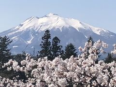 桜満喫　マダムの春旅イン弘前④　1日目の４　弘前公園・弘前城　昼の部