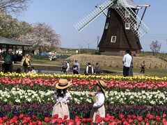 あけぼの山農業公園のチューリップに癒されてリフレッシュ