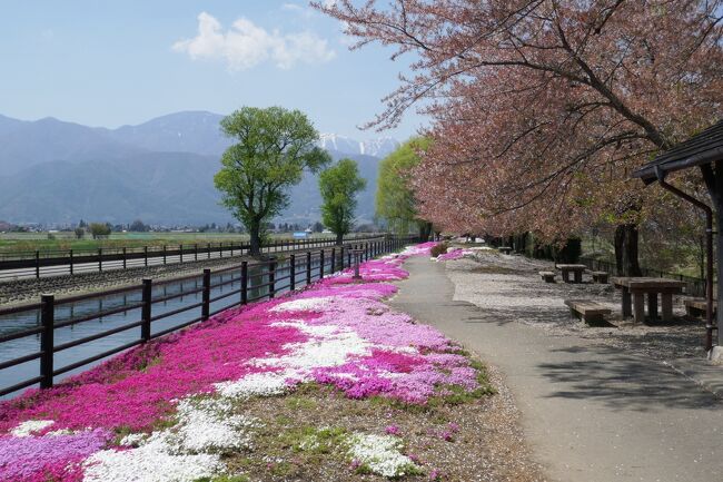 旅猫ズCRESSONで行く～2022春旅・安曇野サイクリングAコース・・ポタリングですね＾＾