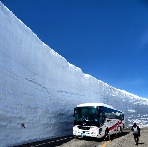 旅行記の順番がバラバラですが、旬の話題なのでこちらを先にupします。<br /><br />2021年秋に紅葉の立山黒部アルペンルートにお伺いし、その魅力にハマりました。<br />今度は季節を変えて雪の大谷にお伺いしようと計画を立てました。<br /><br />ゆったりのんびり過ごすつもりが、やはり立山にお伺いするとウキウキが止まらず軽い高山病にかかりました。<br />養生してなんとか↑復活↑<br /><br />翌日は、最高の晴天に恵まれ、雪の大谷を満喫し下山。<br /><br />信濃大町でゆっくりした後、7年に一度の御開帳の善光寺をおまいりし帰宅しました。<br /><br />4/23<br />自宅→山の家<br /><br />4/24<br />山の家→室堂<br />みくりが池温泉 泊<br /><br />4/25<br />室堂→信濃大町<br />ANAホリデイ・インリゾート信濃大町くろよん 泊<br /><br />4/26<br />信濃大町→長野→帰宅