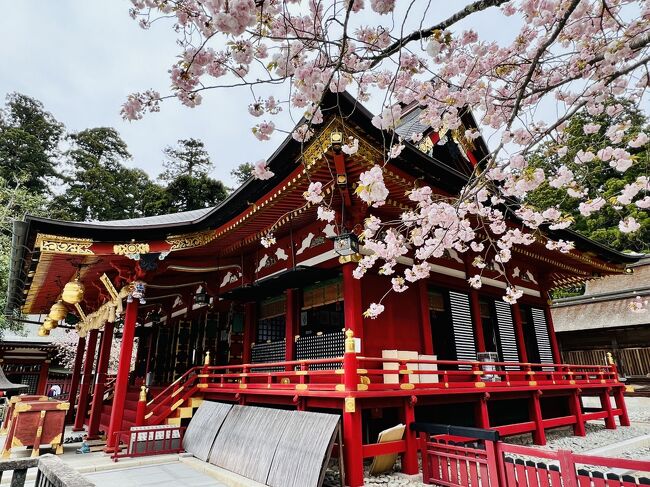 相馬出張へ行く途中、塩釜でミニ笹かまを買いに行きました。<br />相馬神社は灯籠が倒れたままで地震の痕が残っていました。