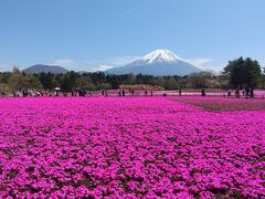 富士芝桜まつり