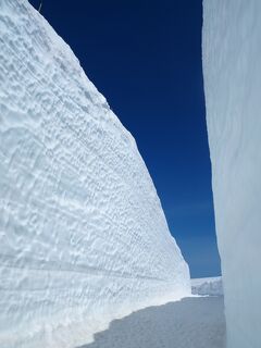 立山黒部アルペンルート２日目*・゜・*復路は晴れ、青空の下で雪の大谷ウォーク*・゜・*