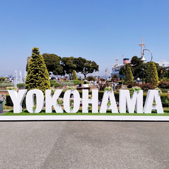 横浜公園のチューリップがキレイで<br />有名なのは知っていたけど、<br />来たのは初めてかも。<br />ちょうどフラワーガーデンも開催されていて、<br />めっちゃ花まみれ～。