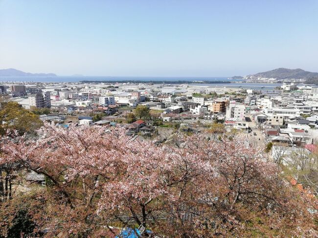 弾丸海外の旅とか、マニアックな国内の旅を好む私ですが、<br />たまには「ベタ」(関西芸人がいうところの定番中の定番の意)<br />な観光地を訪れることがあります。<br />今回は、和歌山県の「名残り桜の紀三井寺＆しらす丼」をご紹介します。<br />youtubeチャンネル<br />https://www.youtube.com/channel/UCNr4mIN6HdURGFu03WUrSpA<br /><br />★「ベタ」な観光地シリーズ<br /><br />利尻島（ペシ岬・オタトマリ沼）＆礼文島（桃岩）＆チャーメン（北海道）<br />https://4travel.jp/travelogue/11675230<br />稚内（宗谷岬・大沼・氷雪の門・ノシャップ岬）＆サロベツ原野＆たこしゃぶ（北海道）<br />https://4travel.jp/travelogue/11674774<br />網走（刑務所＆天都山＆網走監獄＆流氷砕氷船＆流氷物語号）（北海道）<br />https://4travel.jp/travelogue/11694046<br />釧路湿原＆SL冬の湿原号＆かき弁当＆タチポン＆チャンチャン焼き＆ルイベ＆つぶ貝（北海道）<br />https://4travel.jp/travelogue/11694930<br />釧路湿原＆霧多布＆東根室駅＆納沙布岬＆春国岱＆風連湖＆尾岱沼＆エスカロップ（北海道）<br />https://4travel.jp/travelogue/11681629<br />野付半島＆トドワラ＆開陽台＆摩周湖＆屈斜路湖＆硫黄山＆阿寒湖＆オンネトー（北海道）<br />https://4travel.jp/travelogue/11681941<br />旭山動物園＆べこ餅＆昆布巻き（北海道）<br />https://4travel.jp/travelogue/11693380<br />美瑛（望岳台・青い池）＆サーモンパーク千歳＆支笏湖＆旭川ラーメン（北海道）<br />https://4travel.jp/travelogue/11675732<br />幸福駅＆愛国駅＆ばんえい競馬＆豚丼＆インデアンカレー＆ほっきめし（北海道）<br />https://4travel.jp/travelogue/11680924<br />積丹半島＆洞爺湖＆有珠山＆昭和新山＆ジンギスカン＆えびそば（北海道）<br />https://4travel.jp/travelogue/11682793<br />ウトナイ湖＆登別温泉＆地球岬＆ニセコ＆二股ラジウム温泉＆江差＆室蘭カレーラーメン＆にしんそば（北海道）<br />https://4travel.jp/travelogue/11699886<br />ニセコ（北海道）<br />http://4travel.jp/travelogue/10557930<br />美瑛＆青い池（北海道）<br />https://4travel.jp/travelogue/10417987<br />幸福駅＆ばんえい競馬（北海道）<br />http://4travel.jp/travelogue/10417731<br />函館（元町・五稜郭）＆トラピスト修道院＆いかめし＆いかそうめん＆やきとり弁当＆ラッキーピエロ（北海道）<br />https://4travel.jp/travelogue/11698029<br />高山稲荷神社＆鶴の舞橋（青森）<br />https://4travel.jp/travelogue/11404300<br />下北半島（青森)<br />http://4travel.jp/traveler/satorumo/album/10437472/<br />岩木山＆こみせ（青森）<br />http://4travel.jp/travelogue/10557256<br />田んぼアート（青森）<br />http://4travel.jp/travelogue/10993533<br />弘前＆十二湖（青森）<br />http://4travel.jp/traveler/satorumo/album/10490992/<br />三陸海岸＆蕪島＆龍飛崎＆高山稲荷神社＆鶴の舞橋＆大潟富士＆鬼首かんけつ泉（岩手県＆青森県＆秋田県＆宮城県）<br />https://4travel.jp/travelogue/11697409<br />わんこそば＆盛岡冷麺＆盛岡じゃじゃ麺＆中尊寺＆毛越寺（岩手）<br />https://4travel.jp/travelogue/11692198<br />平泉＆伊豆沼・内沼の白鳥＆松島（岩手＆宮城）<br />https://4travel.jp/travelogue/11499615<br />南三陸＆気仙沼＆陸前高田＆気仙沼ホルモン＆せりうどん（宮城＆岩手）<br />https://4travel.jp/travelogue/11684305<br />鳴子峡＆分水嶺＆川渡菜の花畑＆厳美渓＆金ヶ崎＆鉛温泉（藤三旅館）＆イギリス海岸（岩手＆宮城＆山形）<br />https://4travel.jp/travelogue/11696938<br />石巻（日和山公園）＆金華山＆石巻焼きそば＆牛タン＆笹かまぼこ＆萩の月(宮城）<br />https://4travel.jp/travelogue/11678547<br />多賀城(宮城)<br />http://4travel.jp/traveler/satorumo/album/10688179/<br />仙台光のページェント(宮城)<br />http://4travel.jp/travelogue/11207650<br />宮城蔵王キツネ村（宮城）<br />https://4travel.jp/travelogue/11345894<br />妙乃湯温泉＆十和田プリンスホテルに泊まる角館＆田沢湖＆乳頭温泉<br />＆十和田湖（秋田）<br />https://4travel.jp/travelogue/11600220<br />秋田竿灯まつり（秋田）<br />http://4travel.jp/travelogue/10941648<br />上山温泉“古窯”＆蔵王お釜（山形）<br />https://4travel.jp/travelogue/11618311<br />山寺（山形）<br />http://4travel.jp/traveler/satorumo/album/10785796<br />蔵王＆天元台（山形）<br />http://4travel.jp/travelogue/10571930<br />蔵王樹氷(山形)<br />http://4travel.jp/traveler/satorumo/album/10450750/<br />天童の人間将棋(山形)<br />http://4travel.jp/traveler/satorumo/album/10768677<br />海鮮食べ放題バスツアー　(山形)<br />http://4travel.jp/travelogue/11048424<br />松島海岸（五大堂）＆霞城公園＆山寺＆笹かまぼこ＆牛タン＆萩の月（山形・宮城）<br />https://4travel.jp/travelogue/11673038<br />月山＆山形花笠まつり＆仙台七夕（山形・宮城)<br />http://4travel.jp/traveler/satorumo/album/10557069/<br />“るーぷる仙台”で市内観光＆牛タン＆仙台大観音（宮城）<br />https://4travel.jp/travelogue/11642389<br />裏磐梯＆会津若松（飯盛山・鶴ヶ城）＆旧熱塩駅＆ソースカツ丼＆喜多方ラーメン（福島）<br />https://4travel.jp/travelogue/11677684<br />いわき湯本温泉＆勿来の関＆ダチョウ王国＆牛久大仏＆円盤餃子＆メヒカリ料理＆あんこう鍋（福島＆茨城）<br />https://4travel.jp/travelogue/11688171<br />カシマサッカースタジアム＆真壁（茨城）<br />http://4travel.jp/travelogue/10556710<br />日光（東照宮・二荒山神社・輪王寺・中禅寺湖・戦場ヶ原・杉並木・日光ゆば）（栃木）<br />https://4travel.jp/travelogue/11680179<br />日光東照宮（栃木)<br />http://4travel.jp/traveler/satorumo/album/10428289/<br />奥日光（栃木)<br />http://4travel.jp/traveler/satorumo/album/10420786/<br />浅間山・伊香保・赤城（群馬)<br />http://4travel.jp/traveler/satorumo/album/10422735/<br />休園中の東京ディズニーリゾート（千葉）<br />https://4travel.jp/travelogue/11637906<br />小笠原・父島（東京）<br />https://4travel.jp/travelogue/11709131<br />東京オリンピックとパラリンピックの合間の国立競技場（東京）<br />https://4travel.jp/travelogue/11707681<br />迎賓館＆参議院（東京）<br />https://4travel.jp/travelogue/11351073<br />日本橋（東京)<br />http://4travel.jp/traveler/satorumo/album/10441213/<br />羽田空港国際線ターミナル(東京)<br />http://4travel.jp/traveler/satorumo/album/10539371/<br />皇居乾通り 一般公開　(東京)<br />http://4travel.jp/travelogue/11024669<br />汐留＆築地市場＆浅草サンバカーニバル＆お台場(東京)<br />http://4travel.jp/travelogue/11176644<br />御徒町＆根津・千駄木下町まつり(東京)<br />http://4travel.jp/travelogue/11193818<br />GoTo利用で、港の見える丘公園＆山下公園＆川崎大師＆サンマーメン＆崎陽軒＆ペルー料理（神奈川）<br />https://4travel.jp/travelogue/11683577<br />横浜中華街（神奈川)<br />http://4travel.jp/travelogue/11017433<br />JR鶴見線＆沖縄・ブラジルタウン(神奈川)<br />http://4travel.jp/travelogue/11174874<br />本栖湖（ダイヤモンド富士）＆精進湖＆西湖＆河口湖＆忍野八海＆山中湖＆吉田うどん（山梨）<br />https://4travel.jp/travelogue/11690110<br />甲府＆勝沼（山梨）<br />http://4travel.jp/travelogue/10448050<br />新倉山浅間公園（山梨）<br />https://4travel.jp/travelogue/11402660<br />志賀高原（蓮池・横手山・渋峠）＆地獄谷野猿公苑＆渋温泉（長野）<br />https://4travel.jp/travelogue/11671297<br />上高地＆乗鞍（長野）<br />https://4travel.jp/travelogue/11669121<br />御柱祭(長野)<br />http://4travel.jp/travelogue/11137940<br />白馬＆志賀高原（長野）<br />http://4travel.jp/travelogue/10472912<br />妙高高原（苗名滝・燕温泉・いもり池）＆長野電鉄ゆけむり＆信州そば＆馬刺し（新潟＆長野）<br />https://4travel.jp/travelogue/11671894<br />高岡＆氷見＆べるもんた＆花嫁のれん＆氷見うどん＆寿司くいねぇ（富山＆石川）<br />https://4travel.jp/travelogue/11675989<br />五箇山（相倉）＆金沢おでん＆治部煮（富山＆石川）<br />https://4travel.jp/travelogue/11669969<br />加賀温泉郷（片山津・山代・山中・粟津）の総湯巡り（石川）<br />https://4travel.jp/travelogue/11747042<br />癒しのリゾート・加賀の幸　ホテルアローレ&amp;白山市白峰＆加賀東谷＆加賀橋立（石川）<br />https://4travel.jp/travelogue/11716594<br />熊川宿＆蘇洞門遊覧船＆小浜西組＆へしこ＆鯖寿司（福井）<br />https://4travel.jp/travelogue/11697174<br />富士山本宮浅間大社＆花沢の里＆御前崎＆浜岡砂丘＆中田島砂丘＆富士宮焼きそば＆スマル亭＆鰻料理(静岡）<br />https://4travel.jp/travelogue/11688576<br />大井川の吊橋　“青部の吊橋＆塩郷の吊橋＆両国吊橋”（静岡）<br />http://4travel.jp/travelogue/11018704<br />熱海（静岡）<br />http://4travel.jp/traveler/satorumo/album/10448691/<br />平湯温泉＆高山＆古川＆白川郷＆朴葉味噌＆飛騨牛寿司（岐阜）<br />https://4travel.jp/travelogue/11669908<br />樽見鉄道、養老鉄道で谷汲山華厳寺（岐阜）<br />https://4travel.jp/travelogue/11518114<br />近鉄特急“しまかぜ“で行く伊勢志摩（三重）<br />https://4travel.jp/travelogue/11641207<br />鶏焼肉＆鬼ヶ城＆熊野那智大社＆那智滝＆紀伊勝浦（三重＆和歌山）<br />https://4travel.jp/travelogue/11661658<br />関宿＆土山宿＆信楽＆亀山みそ焼きうどん＆近江ちゃんぽん＆鮒寿司(三重＆滋賀）<br />https://4travel.jp/travelogue/11689543<br />琵琶湖遊覧船“ミシガン“＆坂本＆三井寺＆石山寺＆しじみ料理（滋賀）<br />https://4travel.jp/travelogue/11658185<br />琵琶湖テラス＆近江舞子＆焼鯖そうめん＆彦根城（滋賀）<br />https://4travel.jp/travelogue/11658781<br />比叡山延暦寺(滋賀)<br />http://4travel.jp/traveler/satorumo/album/10520650/<br />府民割でビジホに泊まって、京漬物バイキング＆壱銭洋食＆ちりめん山椒＆京風ラーメン（京都）<br />https://4travel.jp/travelogue/11720891<br />京都府民割でビジホに泊まって、辻利抹茶＆京うどん＆天下一品ラーメン＆ゴリラ飯（京都）<br />https://4travel.jp/travelogue/11723498<br />京都府民割でビジホに泊まって、嵯峨野トロッコ列車＆サンガスタジアム＆スパでリラクゼーション（京都）<br />https://4travel.jp/travelogue/11725069<br />京都府民割で民宿に泊まって、美山かやぶきの里＆民宿みやま（京都）<br />https://4travel.jp/travelogue/11727104<br />京都府民割でビジホに泊まって、たぬきうどん＆卓袱うどん＆木の葉丼＆衣笠丼＆京極かねよ＆志津屋＆都野菜賀茂(京都）<br />https://4travel.jp/travelogue/11727093<br />世界遺産“平等院・宇治上神社”＆わらびもち・抹茶パフェ（京都）<br />https://4travel.jp/travelogue/11729146<br />五山送り火＆石清水八幡宮(京都）<br />https://4travel.jp/travelogue/11591927<br />北野天満宮（京都）<br />http://4travel.jp/travelogue/10647630<br />祇園（京都）<br />http://4travel.jp/traveler/satorumo/album/10425367/<br />南禅寺＆永観堂（京都）<br />https://4travel.jp/travelogue/11347150<br />おぢ1人で初めてのUSJ（ユニバーサル・スタジオ・ジャパン）（大阪）<br />https://4travel.jp/travelogue/11738276<br />大阪府民割でビジホに泊まって、うどんすき＆551蓬莱＆串カツ田中＆象印食堂＆ねぎ焼やまもと＆玄品ふぐ（大阪）<br />https://4travel.jp/travelogue/11736253<br />大阪府民割でビジホに泊まって、大起水産＆家族亭＆上島珈琲店＆どでか寿司＆かに道楽＆大阪王将＆鳥貴族（大阪）<br />https://4travel.jp/travelogue/11737124<br />百舌鳥・古市古墳群 -古代日本の墳墓群-（大阪）<br />https://4travel.jp/travelogue/11617730<br />休園中のユニバーサル・スタジオ・ジャパン（大阪）<br />https://4travel.jp/travelogue/11635175<br />太陽の塔（大阪）<br />https://4travel.jp/travelogue/11401104<br />駅裏登山道からの竹田城跡＆舞鶴赤れんがパーク＆舞鶴肉じゃが（兵庫＆京都）<br />https://4travel.jp/travelogue/11661320<br />姫路城＆明石（兵庫）<br />https://4travel.jp/travelogue/11613889<br />西村屋ホテル招月庭に泊まる城崎温泉（兵庫）<br />https://4travel.jp/travelogue/11476360<br />余部鉄橋＆城崎温泉（兵庫）<br />http://4travel.jp/travelogue/10996105<br />余部鉄橋（兵庫)<br />http://4travel.jp/traveler/satorumo/album/10449422/<br />城崎温泉＆餘部鉄橋＆鳥取砂丘＆牛骨ラーメン＆とうふちくわ＆白バラコーヒー（兵庫＆鳥取）<br />https://4travel.jp/travelogue/11659859<br />飛鳥＆長谷寺＆室生字＆三輪そうめん＆柿の葉寿司＆葛餅（奈良）<br />https://4travel.jp/travelogue/11672622<br />近鉄特急「ひのとり」で奈良公園（奈良）<br />https://4travel.jp/travelogue/11640199<br />室生寺＆今井町＆飛鳥（奈良）<br />https://4travel.jp/travelogue/11533691<br />東大寺＆奈良公園（奈良)<br />http://4travel.jp/traveler/satorumo/album/10531427/<br />名残り桜の紀三井寺＆しらす丼（和歌山）<br />https://4travel.jp/travelogue/11750742<br />高野山＆南海電鉄「こうや」＆「天空」＆極楽橋駅＆ごま豆腐（和歌山）<br />https://4travel.jp/travelogue/11668540<br />ホテル浦島＆潮岬＆めはりずし＆茶飯＆金山寺味噌（和歌山）<br />https://4travel.jp/travelogue/11662693<br />ハワイ海岸＆倉吉土塀の街＆恋山形駅＆宮本武蔵の里＆平福（鳥取＆岡山＆兵庫）<br />https://4travel.jp/travelogue/11660447<br />松江（松江城・宍道湖の夕日・竹島資料館）＆出雲大社＆＆出雲そば（島根）https://4travel.jp/travelogue/11676973<br />三瓶山＆石見銀山（大森）＆琴ヶ浜＆日御碕＆大社駅＆出雲ぜんざい（島根）https://4travel.jp/travelogue/11677332<br />尾道＆大久野島＆尾道ラーメン（広島）<br />https://4travel.jp/travelogue/11663945<br />原爆ドーム（広島)<br />http://4travel.jp/traveler/satorumo/album/10450820/<br />錦帯橋＆厳島神社＆原爆ドーム＆平和記念公園＆岩国寿司＆お好み焼き＆あなごめし（広島＆山口）<br />https://4travel.jp/travelogue/11695703<br />元乃隅稲荷神社＆角島大橋(山口)<br />https://4travel.jp/travelogue/11301055<br />阿波踊り（徳島）<br />http://4travel.jp/travelogue/10588585<br />https://4travel.jp/travelogue/11423710<br />寛永通宝の琴弾公園（香川)<br />http://4travel.jp/traveler/satorumo/album/10450806/<br />自転車7時間で走破したしまなみ海道（愛媛＆広島）<br />https://4travel.jp/travelogue/11687226<br />伊予大洲＆内子＆松山＆鯛そうめん（愛媛）<br />https://4travel.jp/travelogue/11666583<br />瀬戸内しまなみ海道サイクリング＆内子＆米博物館（愛媛）<br />http://4travel.jp/travelogue/10559650<br />高知＆鰹タタキ＆ウツボ料理＆鯨料理＆ドロメ（高知）<br />https://4travel.jp/travelogue/11666867<br />四万十川（高知）<br />https://4travel.jp/travelogue/11645952<br />門司港（福岡）<br />http://4travel.jp/traveler/satorumo/album/10422286/<br />三井三池炭鉱 宮原坑＆専用鉄道敷跡　（福岡）<br />http://4travel.jp/travelogue/11131058<br />島原半島・神代小路＆淡島神社＆島原＆原城（長崎）<br />https://4travel.jp/travelogue/11645032<br />東山手＆グラバー園＆大浦天主堂＆平和公園（長崎）<br />https://4travel.jp/travelogue/11644090<br />佐世保＆出島（長崎）<br />https://4travel.jp/travelogue/11643912<br />軍艦島　（長崎）<br />http://4travel.jp/travelogue/11067774<br />知覧武家屋敷＆特攻平和会館＆指宿＆JR西大山駅＆枕崎＆加世田＆吹上浜＆入来麓&amp;藺牟田池＆まぐろラーメン（鹿児島）<br />https://4travel.jp/travelogue/11696748<br />JR嘉例川駅＆城山公園＆西郷隆盛像＆桜島＆キビナゴの刺身＆鶏肉の刺身＆さつま揚げ＆さつま汁（鹿児島）<br />https://4travel.jp/travelogue/11696011<br />奄美大島（あやまる岬・土盛海岸・マングローブパーク・奄美パーク）＆油そうめん＆鶏飯＆あくまき　（鹿児島）<br />https://4travel.jp/travelogue/11673482<br />慶良間諸島“阿嘉島”＆消失したばかりの首里城（沖縄）<br />https://4travel.jp/travelogue/11620294<br />那覇（首里城＆金城町石畳道＆漫湖＆沖縄ちゃんぽん＆チャンプルー）（沖縄）<br />https://4travel.jp/travelogue/11713222<br />沖縄本島（沖縄）<br />http://4travel.jp/traveler/satorumo/album/10475825/<br />慶良間諸島　“座間味島”(沖縄)<br />http://4travel.jp/travelogue/11012275<br />石垣島（沖縄）<br />https://4travel.jp/travelogue/11531414<br />石垣島（川平湾・名蔵アンパル）＆ジューシー＆ポーク玉子＆ゴーヤチャンプル（沖縄）<br />https://4travel.jp/travelogue/11685510<br />西表島＆由布島＆竹富島＆海ぶどう＆ミミガー＆八重山そば＆ジーマーミ豆腐（沖縄）<br />https://4travel.jp/travelogue/11686198<br />竹富島＆小浜島（沖縄）<br />https://4travel.jp/travelogue/11531939