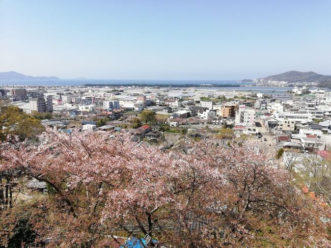 たまにはベタな観光旅行2204　「開業したばかりのケーブルカーで名残り桜の紀三井寺を訪れ、しらす丼をいただきました。」　～和歌山～