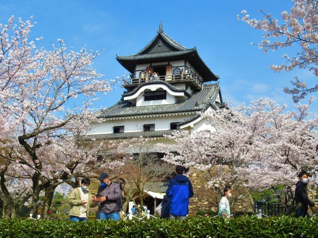 総集編④  2022&#127800;彩る犬山城、犬山祭、日本庭園有楽苑、お城を遠望できる大聖寺展望台