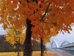 どこかにマイルで旭川。２日目。寒空と鮮やかな紅葉。北彩都４時間の街歩き。