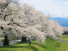 2022桜紀行 in 会津②美里町めぐり　中田観音堂・法用寺・伊佐美神社・向羽黒山城跡・左下り観音堂