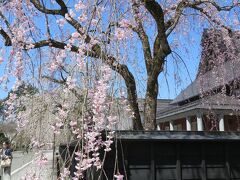 秋田県、岩手県　３泊４日　桜と共に