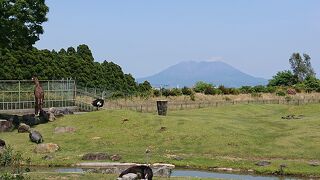 2022.04.22～23 鹿児島1泊2日  1日目②平川動物公園