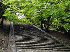 アイラブ仏像めぐり　再開は東大寺から、最後は法隆寺の鐘に胸打たれる