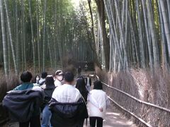 奈良・京都7日間の旅　⑥　若者に交じって嵐山散策