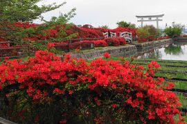 2022年4月・京阪奈仏像と花巡り　その５～長岡天満宮でキリシマツツジと筍満喫