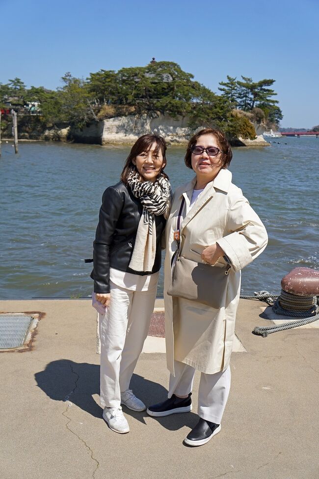 4月の3回目の旅行は妻の高校時代の同級生と3人でトラピックス社の「三陸海岸大縦断と食の宝庫三陸の味覚を食す3日間」というツアーに参加しました。昨年末の鹿児島と宮崎の旅に続いて2回目の3人旅です。当日は東京駅で待ち合わせ、手続きを済ませて東北新幹線のホームに向かいます。3月の福島震源の脱線事故で不通になっていた区間の復旧が4月20日と言われていましたが、旅行の出発日17日の直前の14日に開通してよかったです。座席は3人なので横並びでしたが進行方向の右側なので景色あまりよくありませんでした。福島で同じ車両の後ろにいたトラピックスの三春の桜の花見の団体が降りたので左側の座席に移ることが出来ました。こんな時に妻を1人にするのではなく友人がいると助かります。車窓からは郡山から仙台まで雪を頂いた東北の山々を見ることが出来きました。福島駅に停車するとホームの待合い室が使用禁止になっていたり、ホームの床が抜けたままになっていたので地震の被害の大きかったことを実感しました。仙台駅で再集合して駅の東口のバス乗り場に向かいます。今回のツアーは14人だけなので、1人2席以上使うことが出来き、写真を撮るのにストレスはありませんでした。今回のツアーは右側の座席が海側なのでずっと右側に座っていいたような気がします。仙台を出たバスは仙台東インターチェンジから高速に乗り、松島を目指します。途中仙台港に停泊している太平洋フェリーの「いしかり」を見ることが出来ました。時間的にもこの後に名古屋に向かうのだと分かります。昨年はこの港を3回利用したので懐かしかったです。松島への道路も空いていたので予定よりも早く到着し、滞在時間が伸びたので松島湾の30分クルーズにも参加することにしました。昨年は曇天の中のクルーズでしたが、今回は快晴で遠く宮城蔵王の山々が雪を頂く姿も見ることが出来ました。クルーズ船が港に戻ると神輿が町中を練り歩いています。伊達政宗公が再建した「瑞巌寺」の守護神を祀る「日吉山王神」社の「神輿渡御例大祭」の巡行だったようです。偶然でしたが松島の美しい景色と巨大な神輿を見ることも出来ました。松島でのお昼は前回に行く事の出来なかった「かき小屋」で牡蠣の食べ放題を楽しみました。40分ではありましたが40個くらいはいただけました。時間ギリギリにバスに戻って、次はNHKの朝ドラの「お帰りモネ」の舞台の登米に向かいます。
