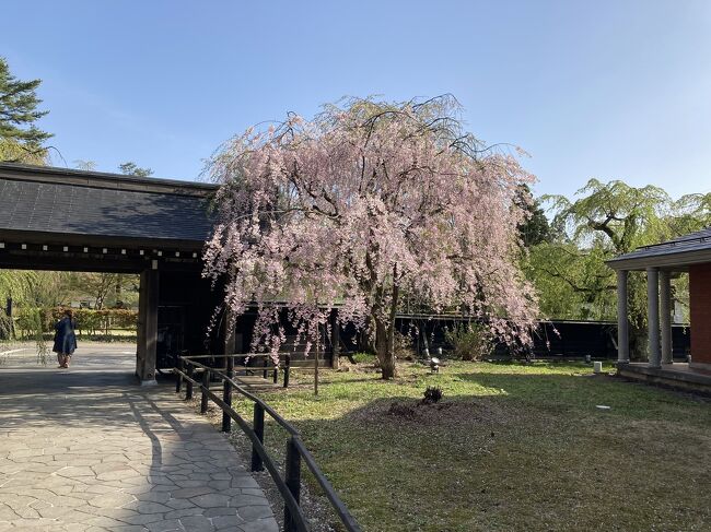 ゴールデンウィークに秋田県、青森県に行った旅行記です。<br /><br />今回のメインテーマは、次のとおりです。<br />①星野リゾート奥入瀬渓流ホテルに泊まること。<br />②リゾートしらかみに乗ること。<br />③青森県立美術館に行くこと。<br /><br />初日は、秋田空港から角館を散策して、秋田市に宿泊しました。
