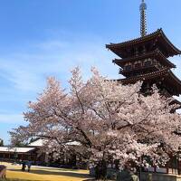 2泊3日　奈良へお花見の旅 １日目　大阪経由で奈良へ＊薬師寺と唐招提寺