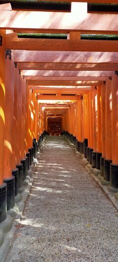 京都と高野山への旅　7