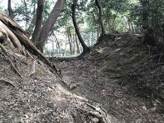 福井県の城跡巡り：金ヶ崎城跡、木下藤吉郎（豊臣秀吉）の「金ヶ崎の退き口」で有名