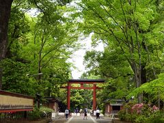 大宮を歩く（武蔵一宮氷川神社から盆栽村へ）