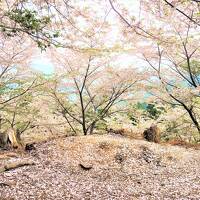 akikoさんと吉野山の桜を追いかけて☆°２日目 中千本、奥千本 ☆.:ﾟ+｡°☆｡*☆☆*:;;;:*☆☆