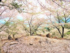 akikoさんと吉野山の桜を追いかけて☆°２日目 中千本、奥千本 ☆.:ﾟ+｡°☆｡*☆☆*:;;;:*☆☆