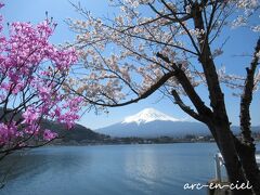 ◆甲斐の国◆富士と桜と湖を巡る温泉旅☆[３]河口湖畔の桜並木＆七福神めぐり（2022）