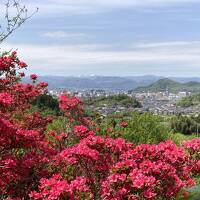 福島 高畑天満宮の鷽替え神事に行って　 飯坂温泉と花見山公園でひとりお花見の一泊二日