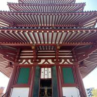 恒例大阪帰省旅で行ったところ、前編は大阪寺社仏閣シリーズです。久々に四天王寺さんで亀に会う