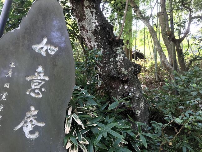 歩かないと楽しめない裏鎌倉。どんとこい!