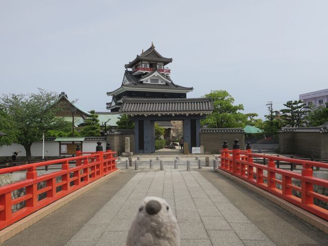 緊急事態宣言明け初旅行を検討していた時のこと。<br /><br />ゴエモン「愛知県には文鳥の聖地と呼ばれる弥富っていう町があるらしいよ。行ってみたいな。」<br />goemonp「いや温泉とかのほうがのんびりできていいんじゃないかな。」<br />ゴエモン「文鳥には温泉関係ないし。文鳥公務員もいるらしいよ。行く！文鳥の聖地に行くのだ！」<br /><br />ゴエモンに押し切られ、緊急事態宣言明け初旅行は名古屋を訪れることになりました。<br /><br />Part2は清州城・名古屋城など名古屋周りの名城訪問＋おいしい名古屋コーチン料理に舌鼓。