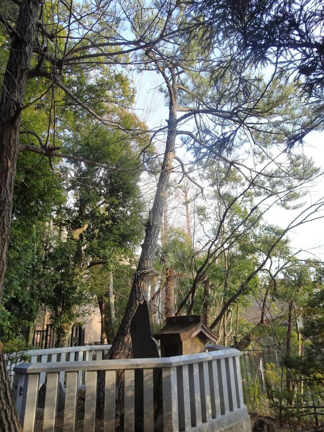 御松庵妙福寺