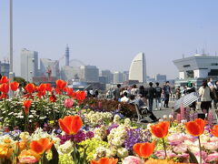 2022年4月　横浜・山下公園　第44回よこはま花と緑のスプリングフェア2022
