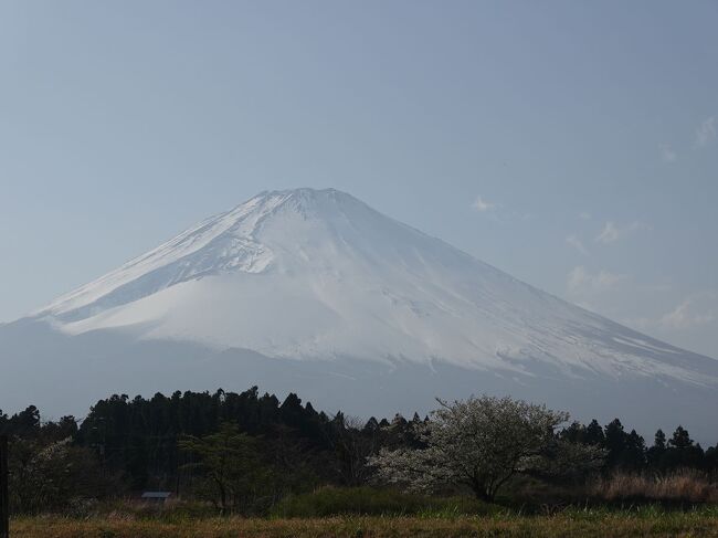 平地より少し遅く桜が咲く富士霊園に行こうと、自転車で出掛けました。<br />自宅からは、直線コースに近い県道24号や国道469号を走って国道246号などを走るのが一番近いと思いますが、十里木を抜けるのはe-バイクのジェッターでも辛そうです。そので、沼津市・長泉町・裾野市・御殿場市経由で小山町に入るコースを選びました。今回とは多少違うコースですが、以前富士山の周りを5回程回った事がありますが、その時に走っていてコースも記憶しています。<br />それでは、第3回で“復路”です。