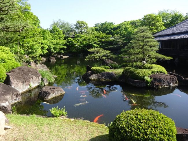 兵庫6回目で姫路を回ります｡(姫路城の後､男山(男山八幡宮 千姫天満宮) 好古園(活水軒で昼食を戴きます｡) 播磨国総社 護国神社に参拝します｡)<br />(写真)好古園の中心の御屋敷の庭(大池)です｡<br />(好古園)1618年､本多忠政が造営した西御屋敷や武家屋敷通路などの遺構があり､そこに約１万坪の日本庭園を平成4年4月29日に開園した｡名前は藩校｢好古堂｣に由来し､江戸時代最後の姫路藩主酒井家が1749年､前橋藩<br />より姫路藩に移築され､藩校も移設された｡<br />{旅程}<br />①2022年4月30日(土)<br />姫路城を見学後､姫路市立動物園･美術館を通り(ﾙｰﾌﾟﾊﾞｽｰ県立歴史博物館を通り)鷺ﾉ清水 千姫ﾉ小径を見て､<br />1)男山に登り､男山八幡宮 千姫天満宮 幸運ﾉ蛙 水尾神社を参拝(ﾊﾞｽ)好古園<br />2)(昼食)R｢活水軒｣(好古館内)穴子丼ｾｯﾄ1380円穴子天麩羅夢ｿﾊﾞ1380円を戴きます｡<br />3)好古園(西屋敷跡庭園等の9つの庭園群)(御屋敷ﾉ庭 潮音斎 苗ﾉ庭 茶ﾉ庭 双樹庵 流れﾉ平庭 夏木ﾉ庭 松ﾉ庭 花ﾉ庭 築山池泉ﾉ庭(臨泉亭) 竹ﾉ庭を鑑賞します｡<br />家老屋敷跡公園 家老屋敷館 ｲｰｸﾞﾚ姫路 血の池跡を歩き､ <br />4)播磨国総社(楼門 本殿 撫でﾐﾐｽﾞｸ 末社) 護国神社を参拝します｡(ﾊﾞｽ)姫路18:05(山陽電鉄)18:57板宿19:03(JR)自宅に帰ります｡<br />