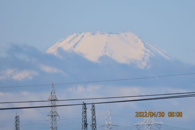 4月30日、午前8時過ぎにふじみ野市より山頂付近が真っ白な美しい富士山が見られました。<br /><br /><br /><br /><br />*写真は美しかった富士山