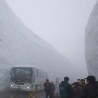 圧巻の絶景　雪の大谷　黒部立山アルペンルート