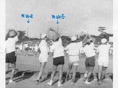 1966年頃の行田無線塔と葛飾小学校（真珠湾攻撃と公営競馬のエリート達）