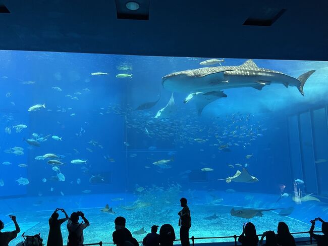 2022年4月　初めての沖縄ひとり旅 part3～美ら海水族館、オリオンモトブ編～