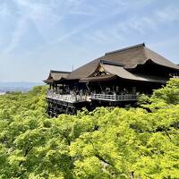 2022年4月 新緑の季節をふふ奈良で過ごす【後編】