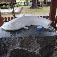 日本三大美肌の湯　嬉野温泉