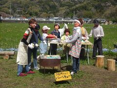 田んぼをつかった花畑