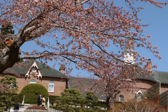 去年の１０月に大沼から函館に行きましたが、ツアーの悲しさ、駆け足旅行となってしまい、もう一度ゆっくり味わってみたいの願望が、常にありました。<br /><br />そんな中で、ＪＴＢ旅物語の４日間函館、そのうちの１日は、フリー旅を見つけて、これは行かなくちゃと。<br />日にちを決めるのに、４月２４日に行ったら、ちょっとは桜が咲いてるのではと、この日に決定。<br />それが、どんぴしゃりと当たって、大正解！<br />旅行に花を添えてくれました。<br /><br />１日目<br />中部国際空港１１時発→函館空港１２時３０分着→湯倉神社→トラピスチヌ修道院→東急ステイ函館朝市　灯の湯<br /><br />２日目　　<br />自由行動or<br />五稜郭公園→大沼国定公園→昼食ちゃっぷ林→トラピスト修道院→渡島当別駅→道南いさりび鉄道乗車自由席→函館駅→東急ステイ　灯の湯<br /><br />３日目<br />自由行動→東急ステイ函館朝市　灯の湯<br /><br />４日目<br />ホテル出発１１時発→函館空港１３時５分発